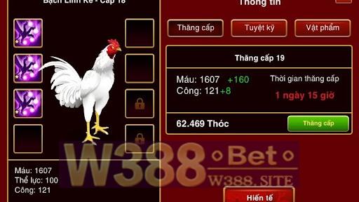 Tìm Hiểu Về Nhà Cái Đá Gà W388 Casino