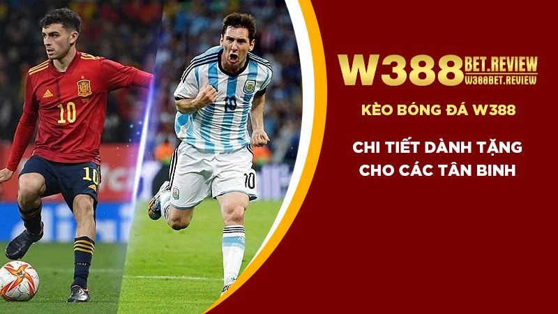 Kèo Bóng Đá W388 Chi Tiết Dành Tặng Cho Các Tân Binh