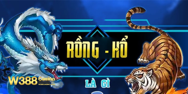 Rồng hổ được nhiều người yêu thích tại các sòng bài casino